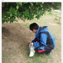 연세건무태권도장 이미지