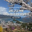 비룡관 | 교토 아마노하시다테 오사카 근교 여행