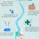 트렌독 이미지
