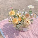 사파동308 | 꽃집 / 당일꽃배달 꽃 피는 계절_사림동 봉곡동 사파동 신월동 한마음병원 도립미술관 경남도청 창원...