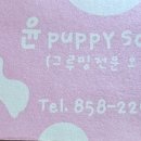 윤퍼피살롱 이미지