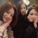 김장미 카카오 검색결과