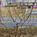 운심농장 이미지