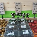 냠냠진영