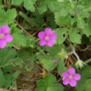 산들농원 이미지