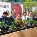 이천고려인삼