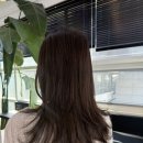 올랑올랑 | 올랑 합정본점 레이어드컷 후기 | 에겐녀 만들어주는 홍대미용실 추천