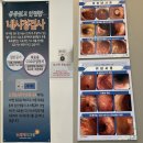 수원-1533 | [수원 종합건강검진 추천 병원]호매실 신세계 외과의원 건강검진 비용 후기,한국건강관리협회 건강증진...