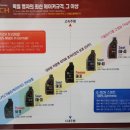 성용모터스 이미지