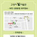 고양이 이발관 | 부천 고양이 미용 및 호텔 고양이 이발관 신중동점