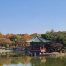 매화초교 | 국중박 굿즈샵 다녀온 후기 제가 어릴 때와는 퀄리티가 달라요