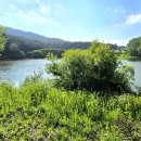 진주황포냉면 - 순천시 연향상가7길 16 | 진주황포냉면