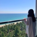 그린제일목장 이미지