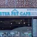 피터펫카페 일산점 이미지