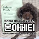 꾸수운 | 프리미엄 기능성 수제사료 추천 기호성 좋은 반습식 강아지 스팀 베이크 사료 본아페티 연어