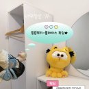 오애립뷰티&요가샵 | 대전 용문동 왁싱샵 [밀림뷰티] - 풀페이스 왁싱 후기 | 눈썹,헤어라인,콧털까지 깔끔하게