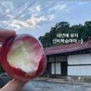케이원백