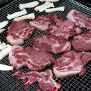 춘천호반 닭갈비 막국수 Daum카페