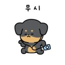하이멍 애견카페 이미지