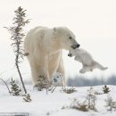 행복주유소 이미지