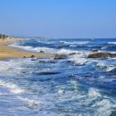 스파존당구장 이미지