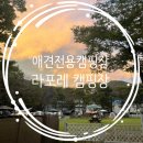 모박사부대찌개평택점 | 단독 사이트에 울타리가 있는 애견동반 라포레 캠핑장 c사이트 2박3일 후기 ft.캠핑세끼