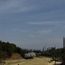 드림골프연습장업 | 여주 명문 YJC(여주cc)골프클럽 라운드후기