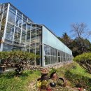 보광사 석조석가여래좌상과 짓샘 | 목포여행 1일차 - 03. 유달산 둘레길 구경(1) : 특정자생식물원 / 보광사 / 달성사