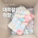 바니울리 세일- 대쪽같은 취향