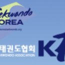 태권돌이 이미지