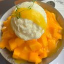 홍스커튼 | 구미 #형곡동 찐 생망고🥭빙수 맛도리|홍스커피 방문 후기