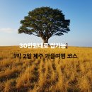 도두봉펜션&게스트하우스 | 30만원대로 쌉가능 가성비 갑! 1박 2일 제주 가을여행 코스