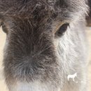 하당농장 이미지