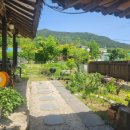 안대머리농가민박 이미지