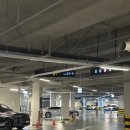 삼호로R | 창원 가볼만한곳 카페 추천 스타벅스 창원NC파크R점 방문 후기