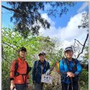 매봉산4 이미지