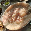 속초자연산해수산물 | 부산 해운대에서 만난 진짜 맛있는 횟집 자연산전문횟집 미포장(내돈내산 후기)