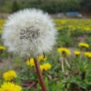 치성농장 이미지