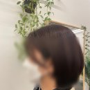 여기;헤어 이미지
