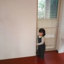 인더플럼 이미지