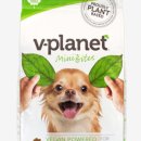 스퀘어독스 펫 이미지