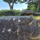 수산리 고인돌壽山里 支石墓 네이버블로그
