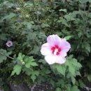 강서연세약국 이미지