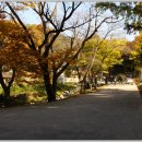 일훈 농장 | 금강을 따라 달리는 '함라산'