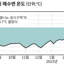 고산슈퍼 이미지