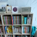 산그림책방 | 세종 보람동 산그림책방 놀라운자연 전집 구매 내돈내산 후기 📚