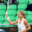 한솔화원 이미지