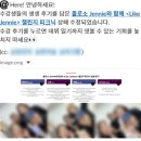 [Coloso Culture] 2025 피크닉 데이 🍱🌸