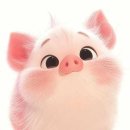 돼지띠 이미지