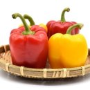 남밀양농협 이미지